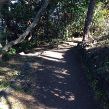 こんな感じの道です。