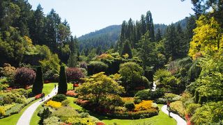 カナダの春夏を彩る花々