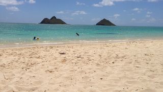 ハワイに来ると必ず訪れる場所です