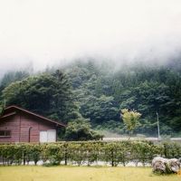 台風の後で裏山には雲が下りていました