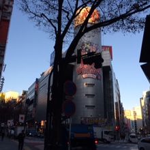 年始は朝から渋谷駅の地下まで並びます