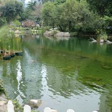 公園内の池です。亀のモニュメントなどあります。