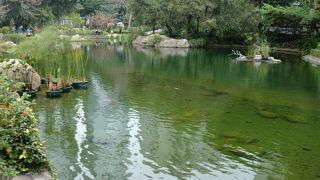 無料で楽しむことができるスポットです。