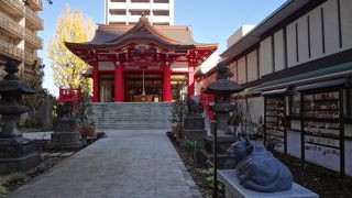 見どころは多いです