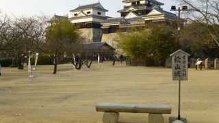 見応え十分です