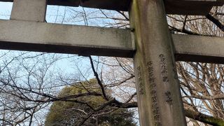 関東大震災でもビクともしなかった大鳥居