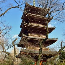 東照宮から眺めた五重塔