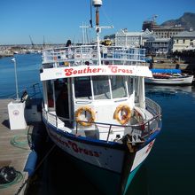 クルーズを楽しむことが出来ます