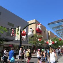 １１月末だったので、クリスマスの飾りも