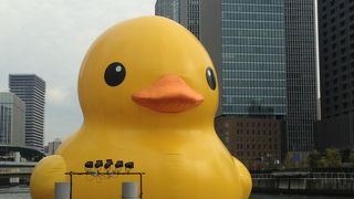 見る者を圧倒します！