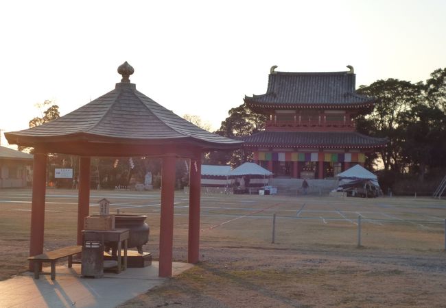 都会では見られない光景