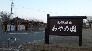 満開の時期に再訪したいです