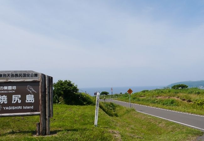 お隣、天売島の絶景を望む展望地