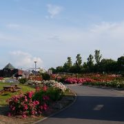 はぼろバラ園 クチコミ アクセス 営業時間 苫前 小平 羽幌 フォートラベル はぼろバラ園 クチコミ アクセス 営業時間 苫前 小平 羽幌 フォートラベル