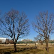 広い公園、凧揚げするのには最適です