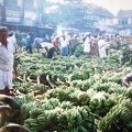 コーチン野菜市場