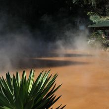 もっと昔は赤かった？