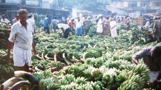 コーチン野菜市場