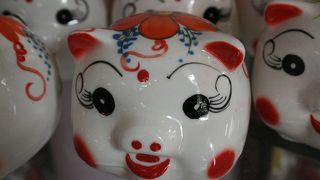 陶器が好きな人なら。