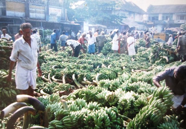 コーチン野菜市場