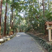入口から社殿までは緩やかに上り。
