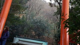 渡月橋近くの由緒ある嵐山弁財天