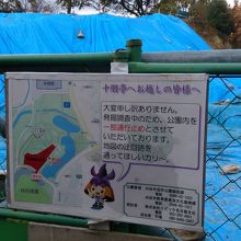 現在発掘作業中箇所あり