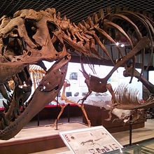 山口県立山口博物館