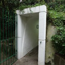 これが出口。　上は鬱蒼とした木々に覆われてます。