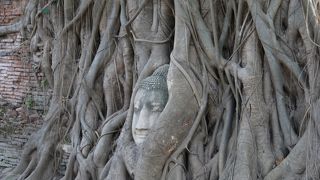 アユタヤといえばココ！