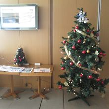 成田空港国際線 JALサクララウンジ