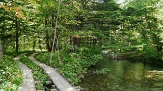 川に池に山に湿原にといろいろ揃ってます