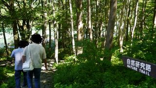 時間と体力に応じてコースを調整