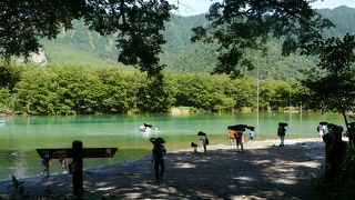 透明度が高く澄んでいました