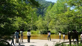 浅くきれいな池