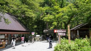 透き通った神秘的な池