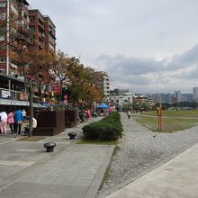 海岸線（河口）の遊歩道です。