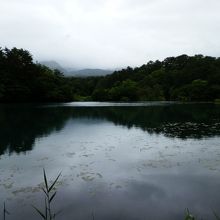 五色沼湖沼群で一番大きい毘沙門沼。