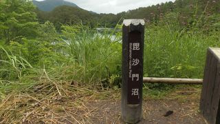 エメラルドグリーン色の宝石のような湖面、五色沼湖沼群。