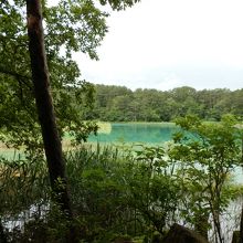 僅かにエメラルドグリーン色の湖面。