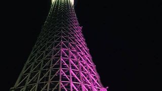 見上げるにはよいポイント