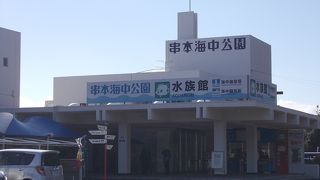 ウミガメのいる水族館