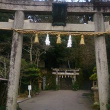 入り口の様子。