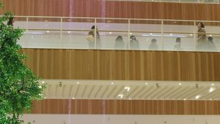 武蔵小杉の新しい商業施設