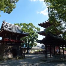 敷地は広くない