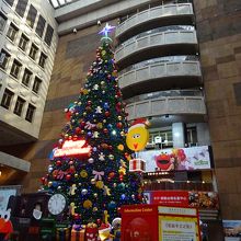 大きなクリスマスツリーも天井には全然とどきません。