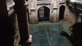 野良牛ロータリー前