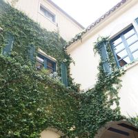 わぁお〜　アルハンブラ宮殿の窓みたい