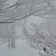 雪がたっぷり戯れ