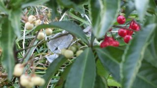 縁切り寺として知られるお寺です。